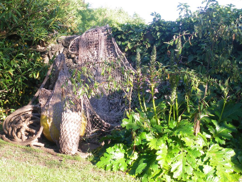 Mira Ceti Yurt Couette-café