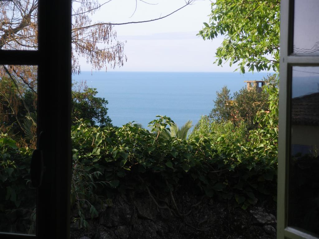 Couette-café Mira Ceti Yurt Sète
