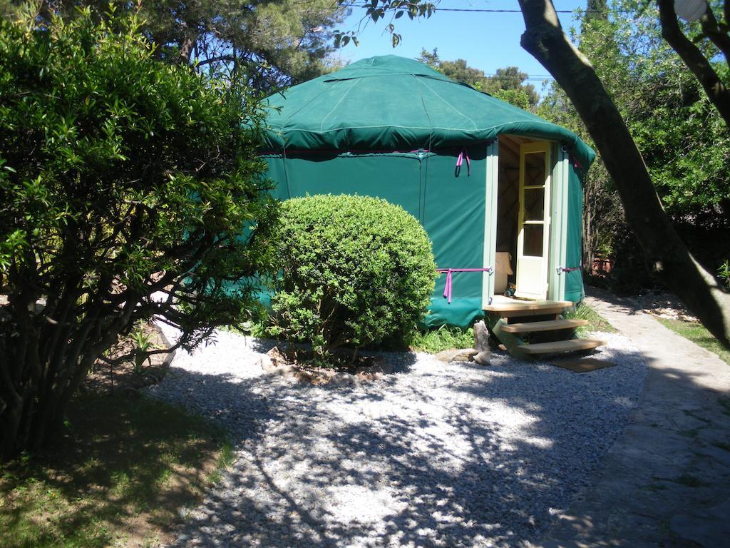 Mira Ceti Yurt * Sète